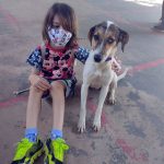 adocao-animais-guarulhos (3)