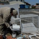 combate-ao-Aedes-aegypti (1)