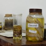 curso-manejo-de-serpentes (3)