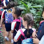 trilha-do-indio-no-bosque-maia (1)