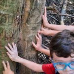 trilha-do-indio-no-bosque-maia (4)