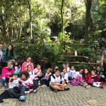 visita-bosque-maia (4)