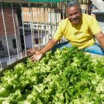 compostagem-caseira (1)