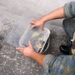 falsa-cobra-coral-guarulhos (2)