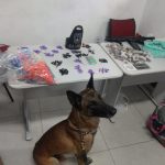 GCM-apreende-fuzil-falso (2)