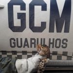 gcm-ambiental-guarulhos (2)