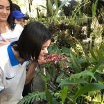 trilhas-no-bosque-maia (2)