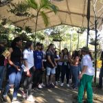 trilhas-no-bosque-maia (3)