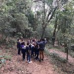 trilha-minhocario-bosque-maia (2)