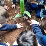 trilha-minhocario-bosque-maia (3)