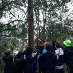 trilha-minhocario-bosque-maia (4)