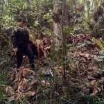 gcm-apreende-drogas (2)