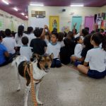 educapet-pimentas (4)