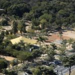 bosque-maia