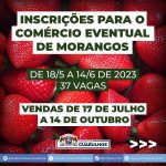 comercio-morangos-em-guarulhos (1)
