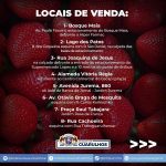 comercio-morangos-em-guarulhos (3)