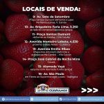 comercio-morangos-em-guarulhos (4)