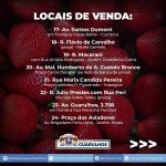 comercio-morangos-em-guarulhos (5)
