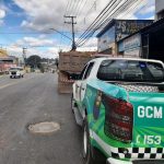 caminhoes-apreendidos-guarulhos (2)