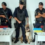 drogas-guarulhos (1)