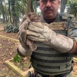 gcm-ambiental-guarulhos (3)