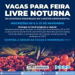 feira-noturna-guarulhos (1)