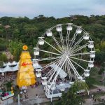 natal-no-bosque-maia (1)