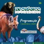 CARROSSEL_PROGRAMACAO_DEZEMBRO23