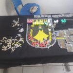 trafico-de-drogas-guarulhos (1)