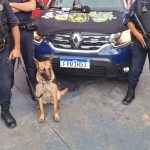 trafico-de-drogas-guarulhos (1)