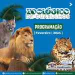 ferias-zoo-de-guarulhos (2)