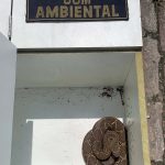 animais-resgatados-em-guarulhos (1)