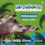 CARROSSEL_PROGRAMACAO_FEVEREIRO