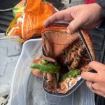 trafico-de-animais-guarulhos (3)