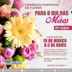 comercio-de-flores-em-guarulhos (2)