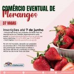 COMERCIO_DE_MORANGOS