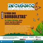 POST_EXPOSIÇÃO_BORBOLETAS