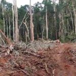 crime-ambiental-novo-recreio (3)