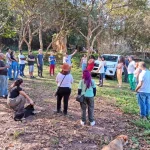 plantio-de-mudas-guarulhos
