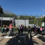 gatos-zoo-de-guarulhos