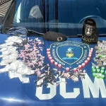 gcm-apreende-drogas-em-guarulhos