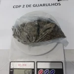 CDP-2-GURULHOS