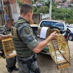 gcm-ambiental-guarulhos