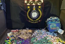 GCM prende traficante com 800 gramas de entorpecentes no Jardim Santa Beatriz