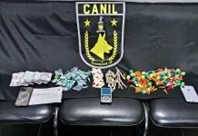 GCM de Guarulhos prende dois traficantes e recolhe mais de 5 kg de drogas