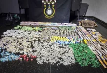 GCM prende quatro envolvidos no tráfico e apreende 8,7 kg de drogas