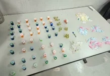 GCM prende traficante e apreende 750 g de drogas no Tranquilidade e no Palmira