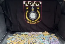 GCM prende cinco traficantes e apreende 1,7 kg de drogas