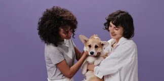 Estação Guarulhos-Cecap recebe primeiro mutirão gratuito de saúde para cães e gatos da CPTM