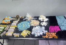 GCM de Guarulhos prende três traficantes e apreende 3,6 kg de drogas em ações contra o tráfico